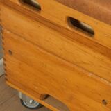 Unique Vaulting Box, Bench and Shoe Cabinet