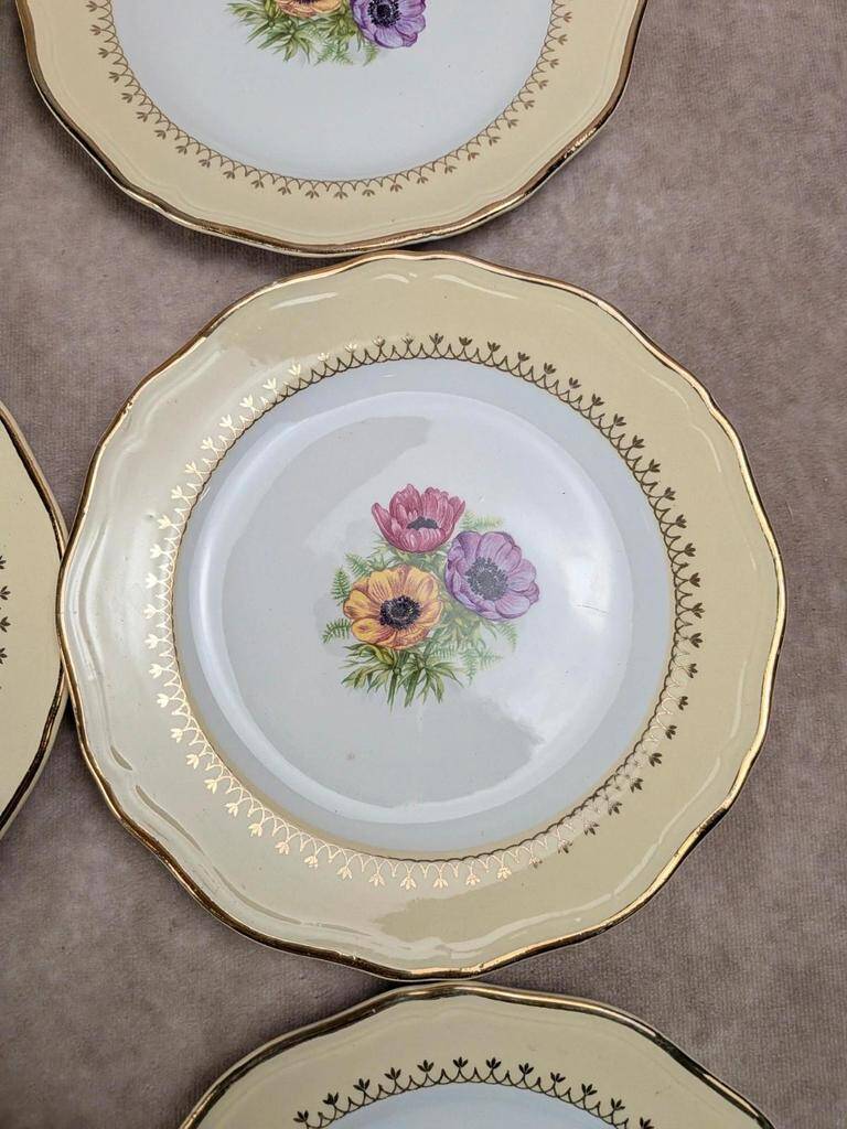 Set of 10 vintage dessert plates L’amandinoise Coopélia