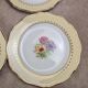 Set of 10 vintage dessert plates L’amandinoise Coopélia