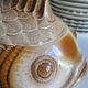 Many flat plates, dish, sauce boat, vegetable dish.