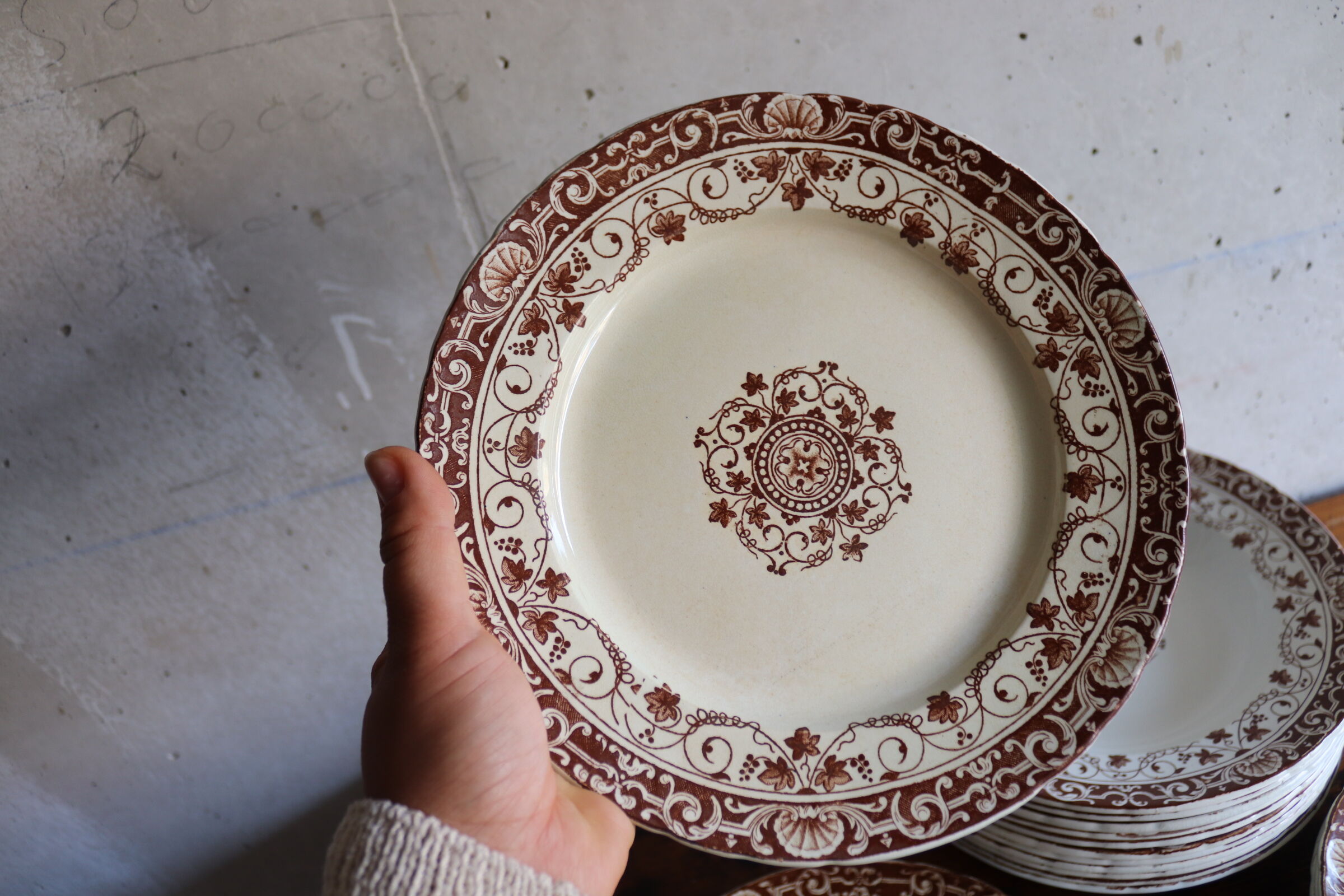 22 plates Jules Vieillard Louis LX