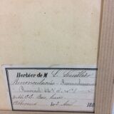 Herbier