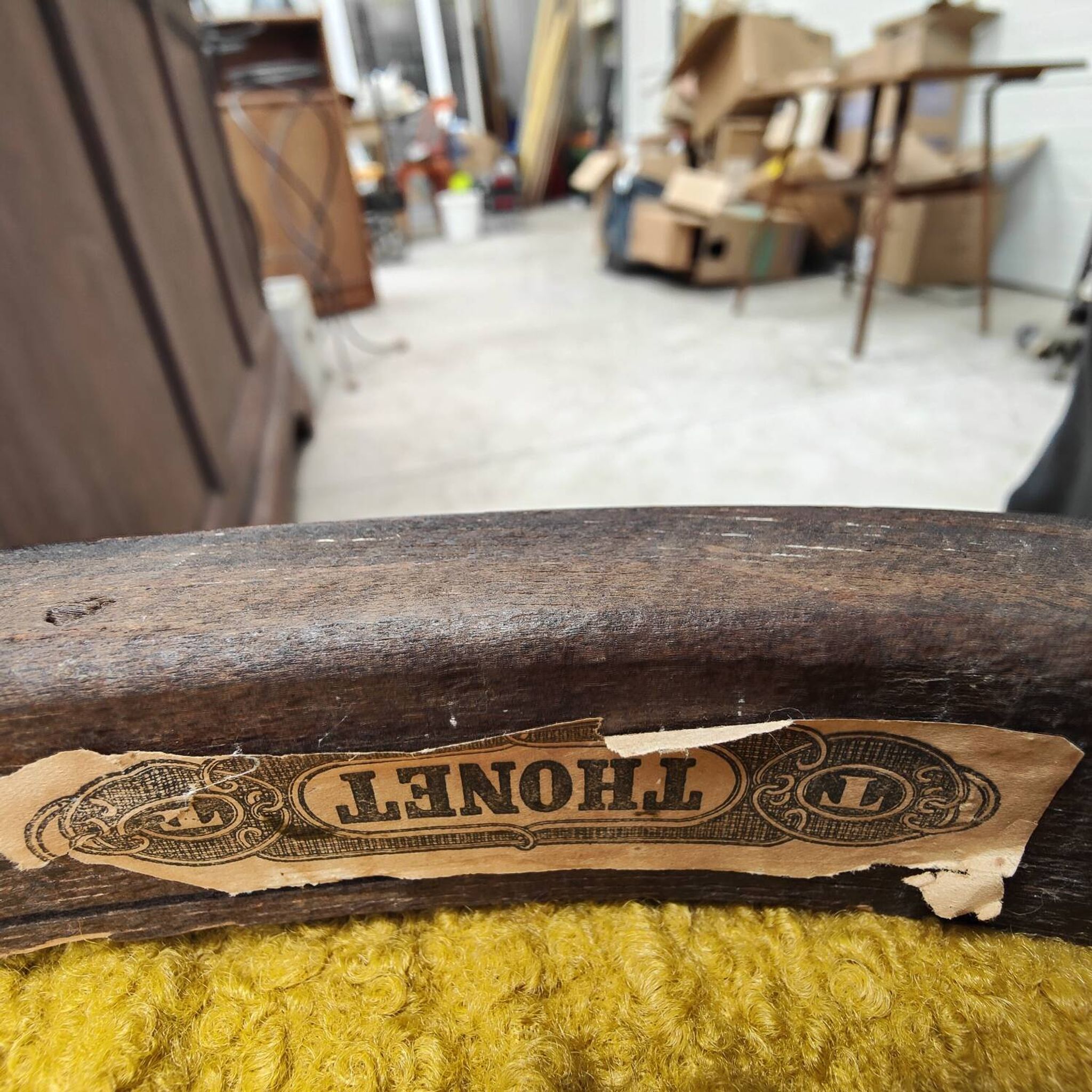 Lot de 4 chaises Thonet art déco 1930 , bouclette Jaune moutarde