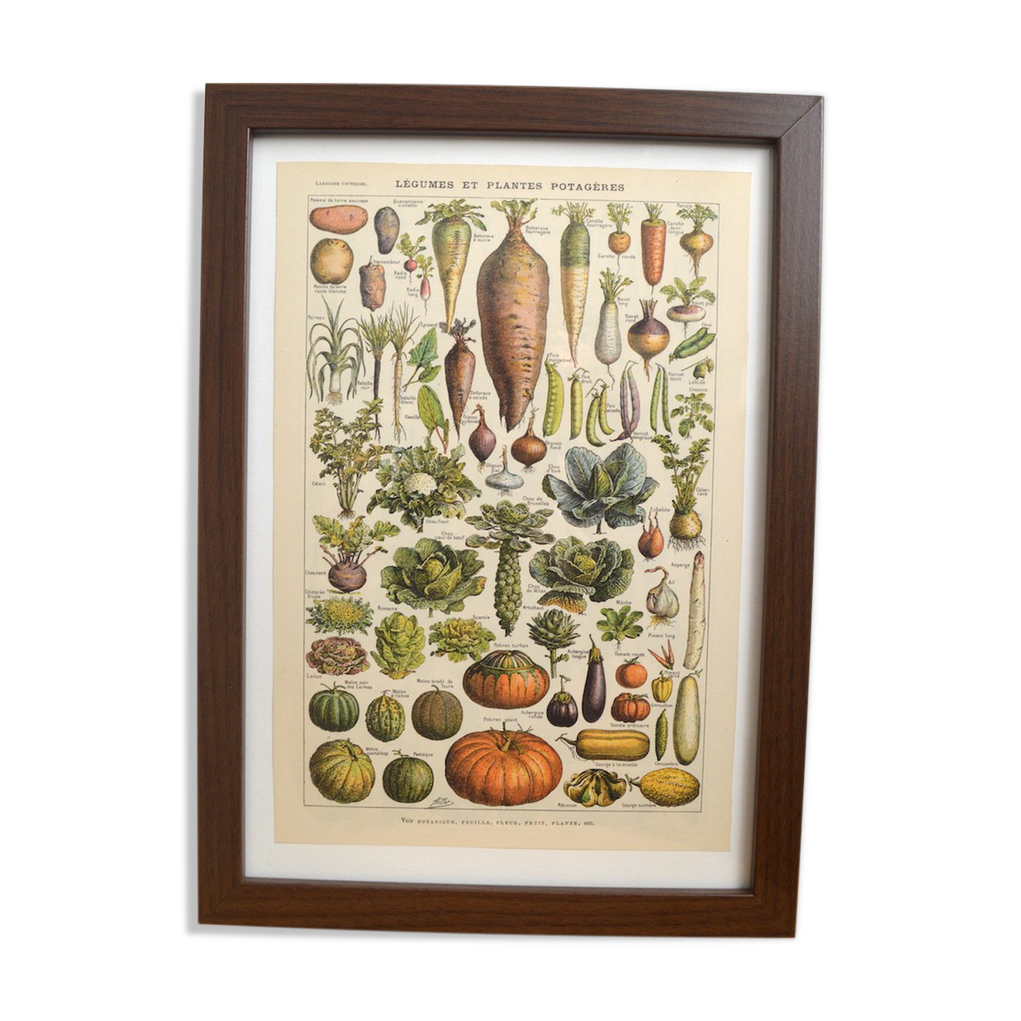 Lithograph vintage vegetables and vegetables framed 1923