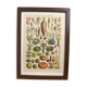 Lithograph vintage vegetables and vegetables framed 1923
