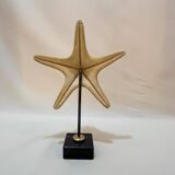 Beautiful old natural starfish on marble base shell curio cabinet