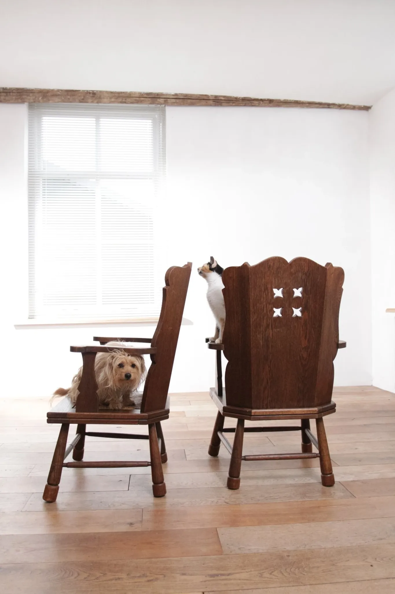 Pair of brutalist oak lounge chairs with rush seats, circa 1935