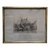 Drawing 1900 lead pencil still life hunting painting game trophy, signed jm, hunter