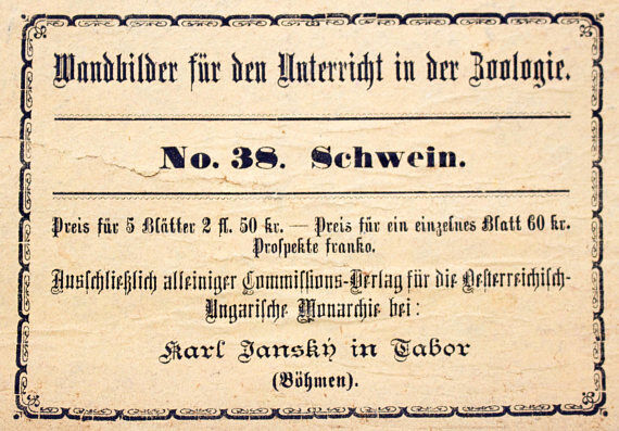 Poster "pig" lithography Karl Jansky Böhmen 1897