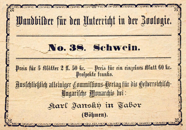 Affiche ''cochon'' lithographie Karl Jansky Böhmen 1897