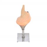 Shell lamp mid century modern