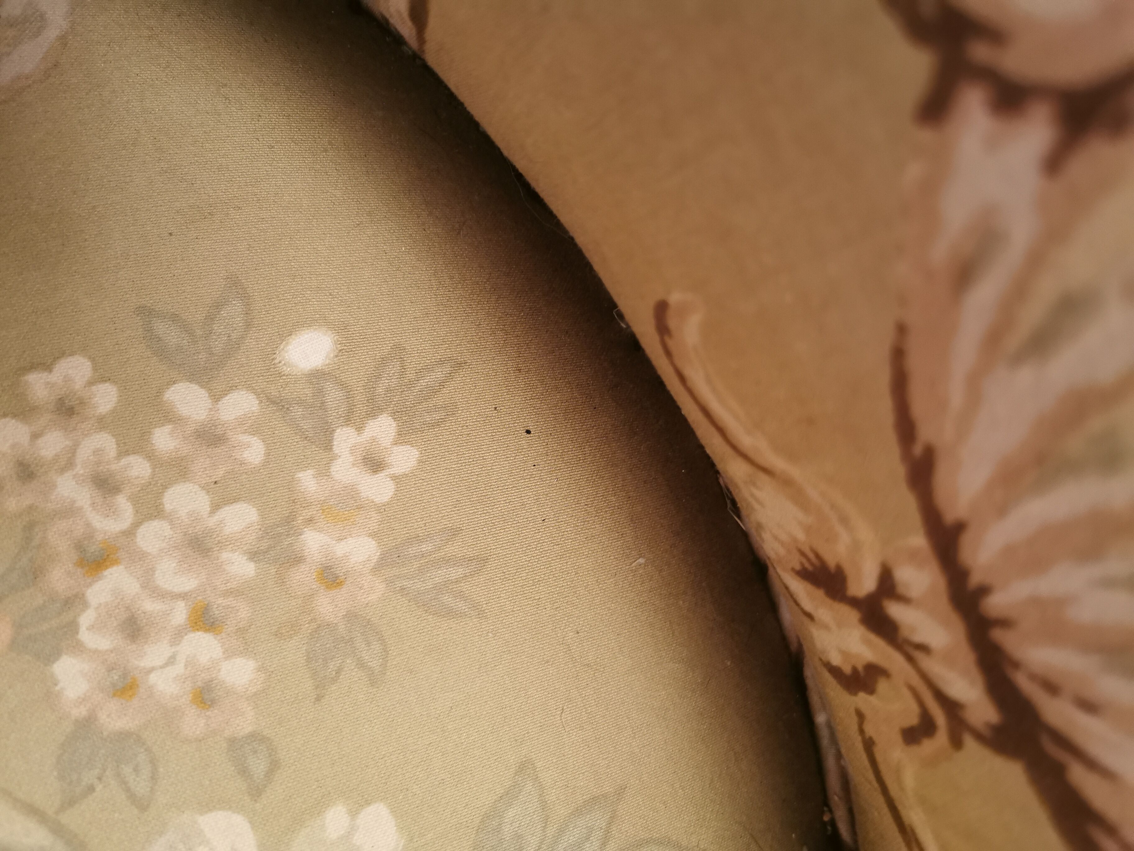 Toad armchair baroque fabrics