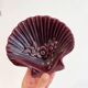 Ceramic shell soap dish or empty pocket