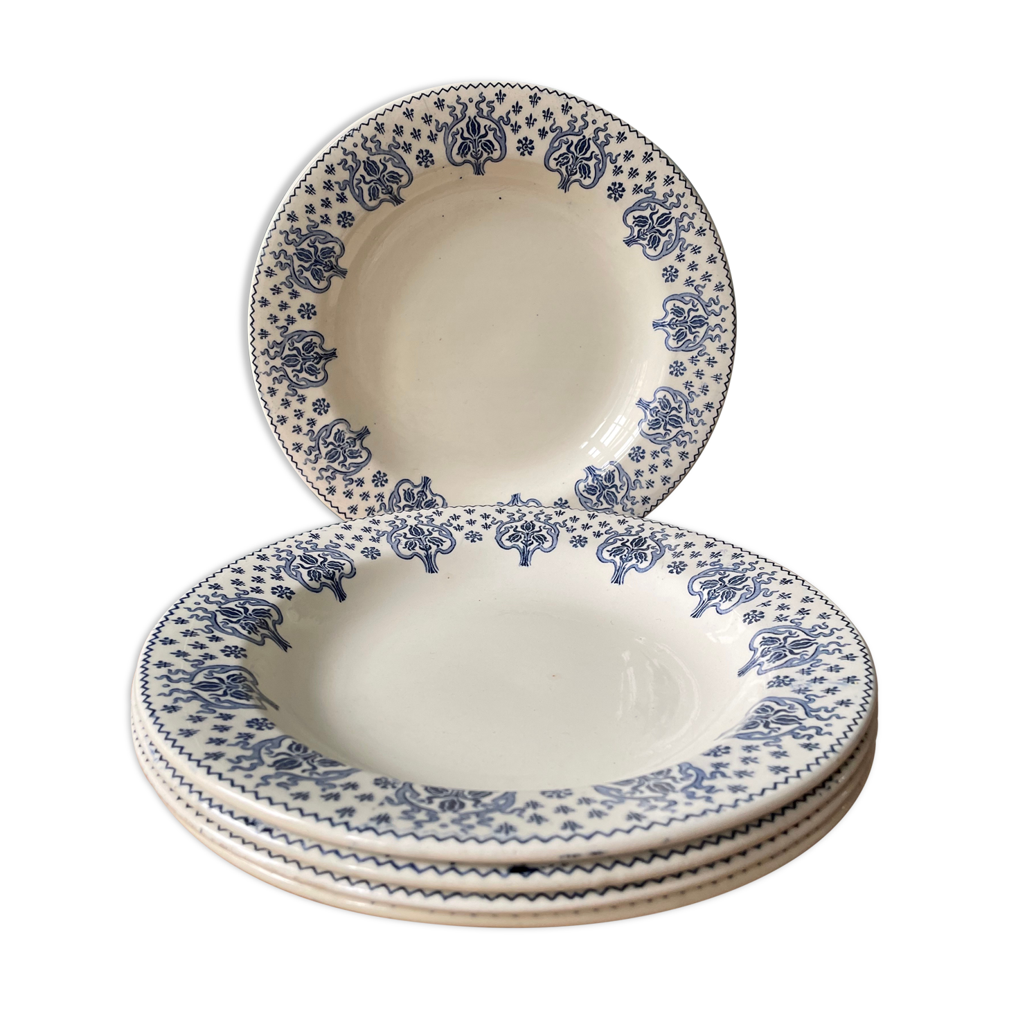 Set of 5 hollow plates Terre de Fer R&A Salins, model Palmes