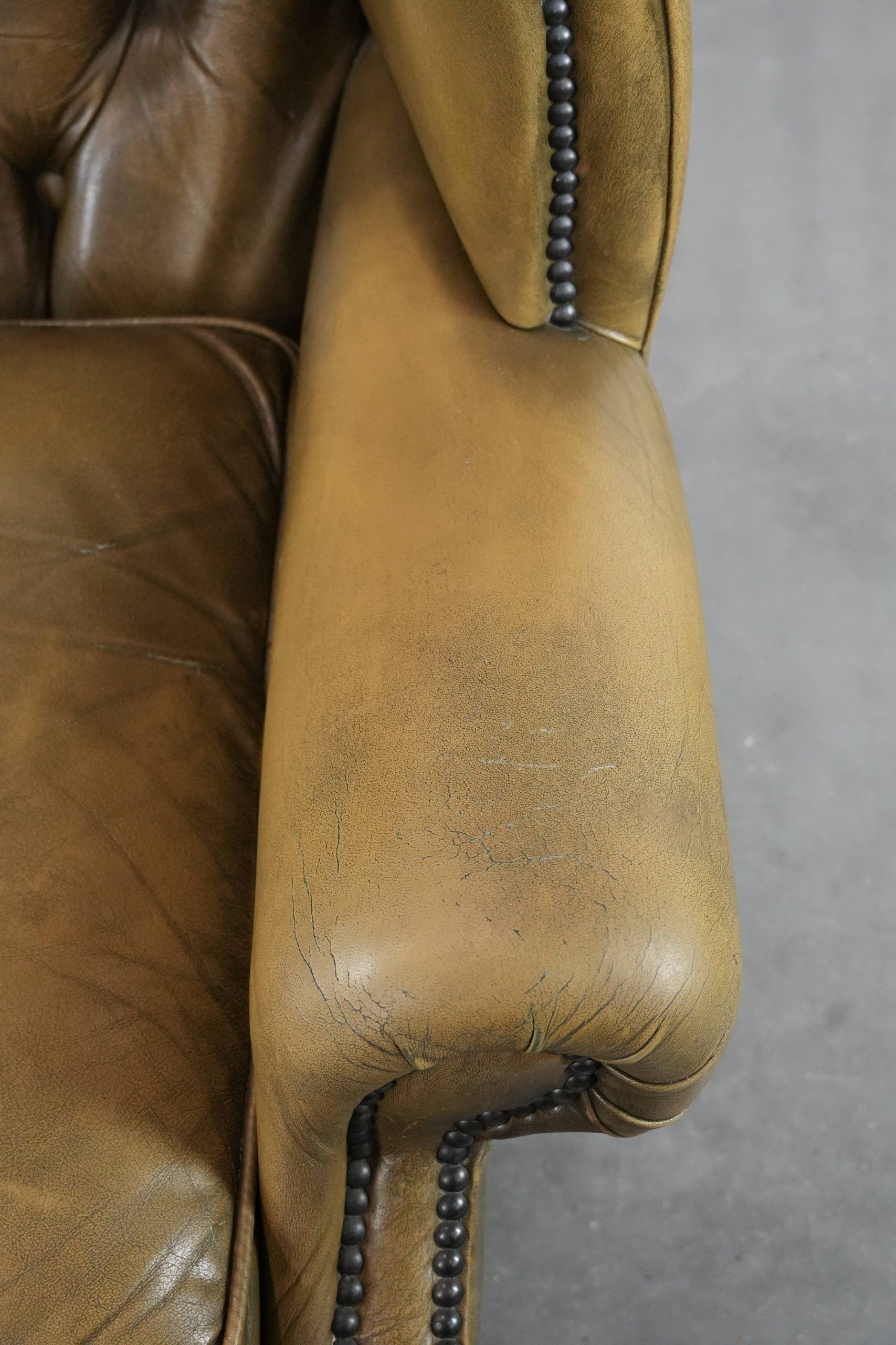 Moss green cow leather Chesterfield wingback armchair in English style