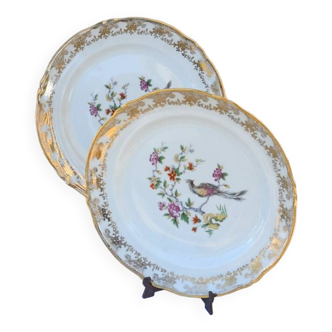 Assiettes en porcelaine