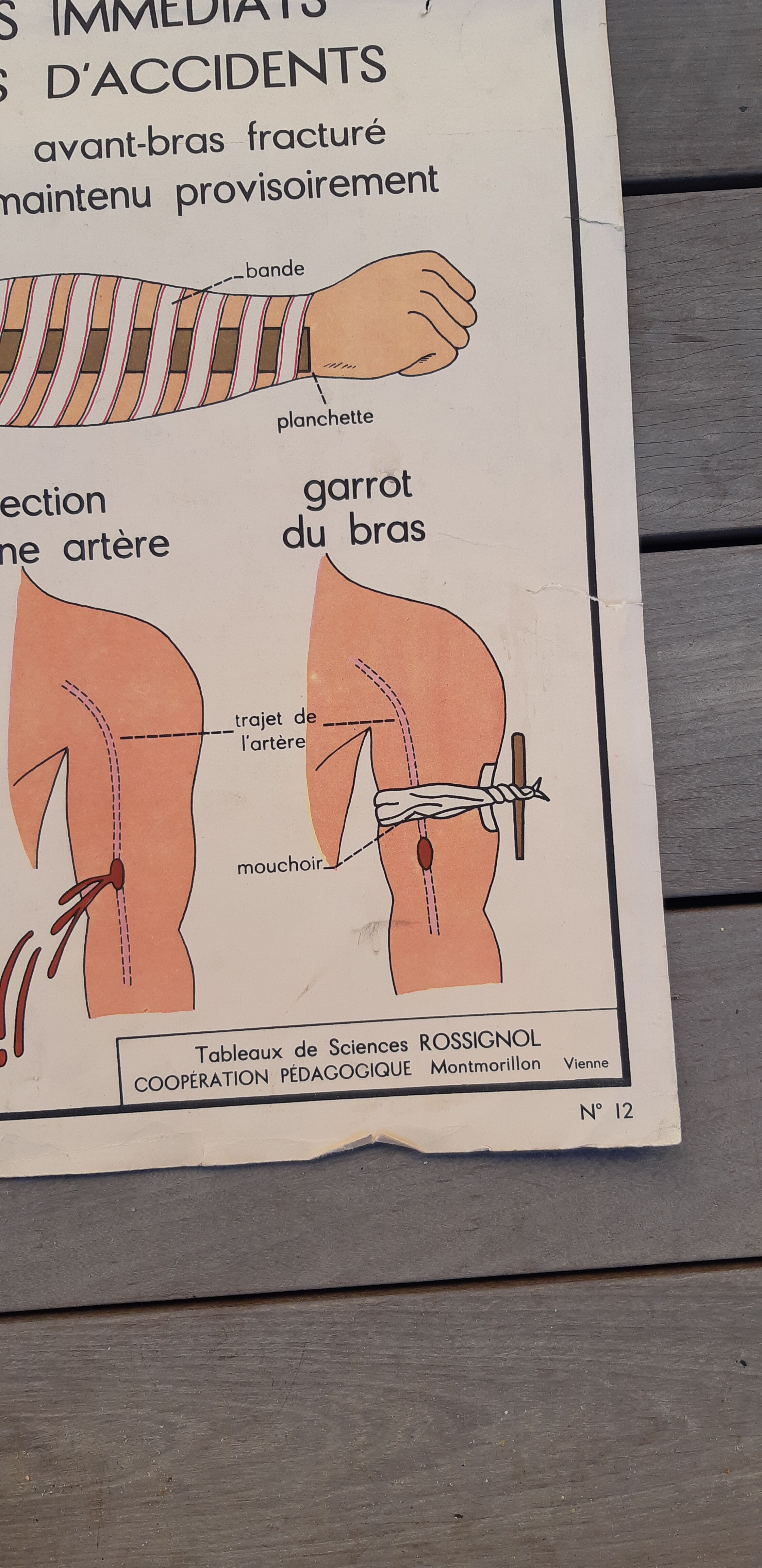 Rossignol educational posters