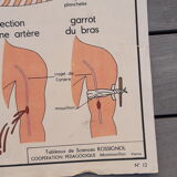 Rossignol educational posters