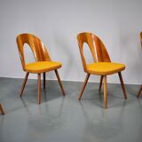 1960s Antonin Suman set of four dining chairs in walnut finish, Czechoslovakia