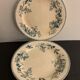 6 old blue flat plates La Samaritane Terre de Fer