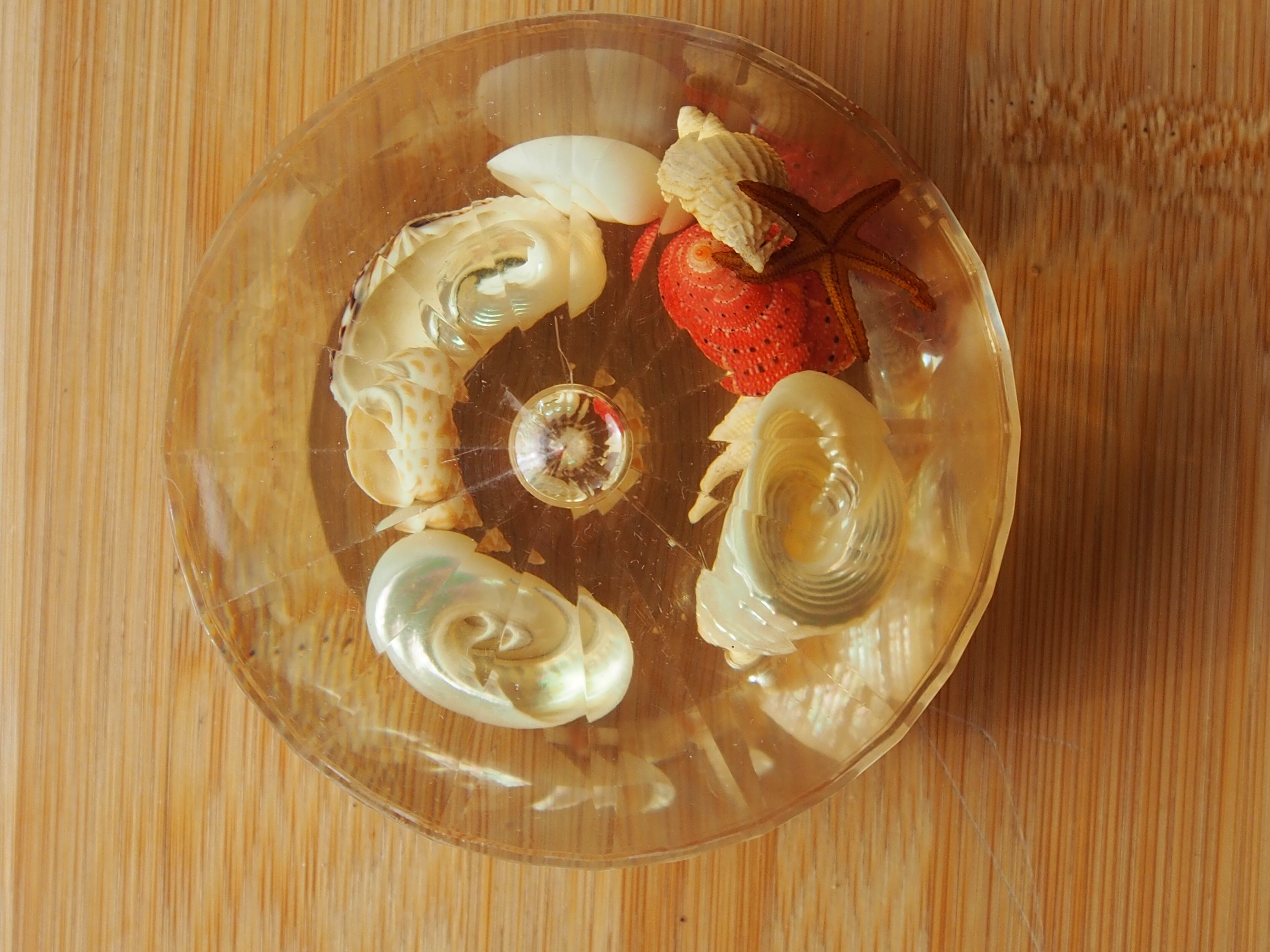 Resin clipboard with inclusion of shells, diamond-shaped