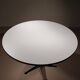 Dining & Work Table by Charles and Ray Eames for Herman Miller | USA 1950s