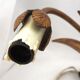 Beautiful pair of wall lights, gold metal, wheat ears, vintage, 48 cm, excellent condition.
