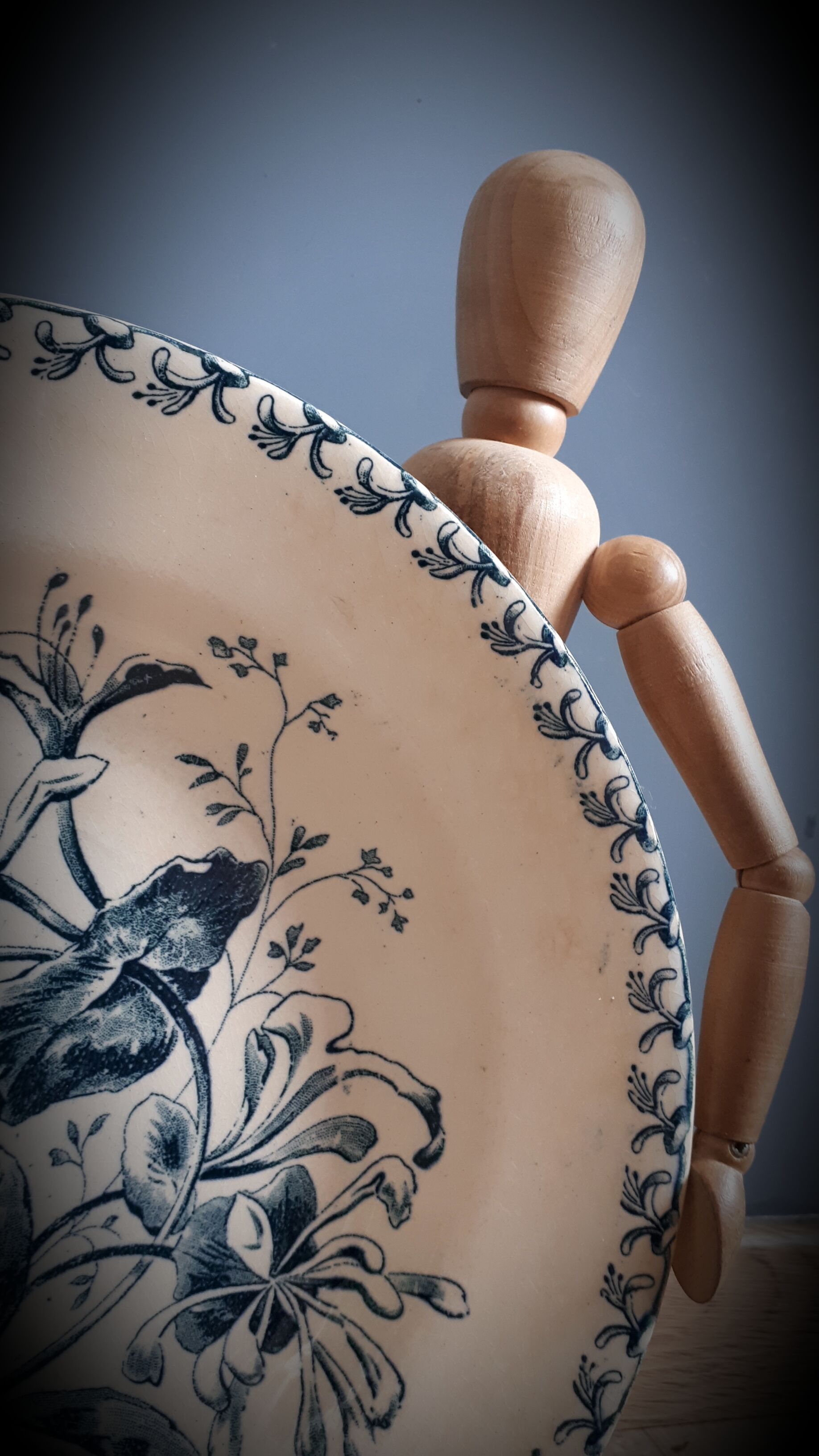 Chevrefeuille Terre de fer plate