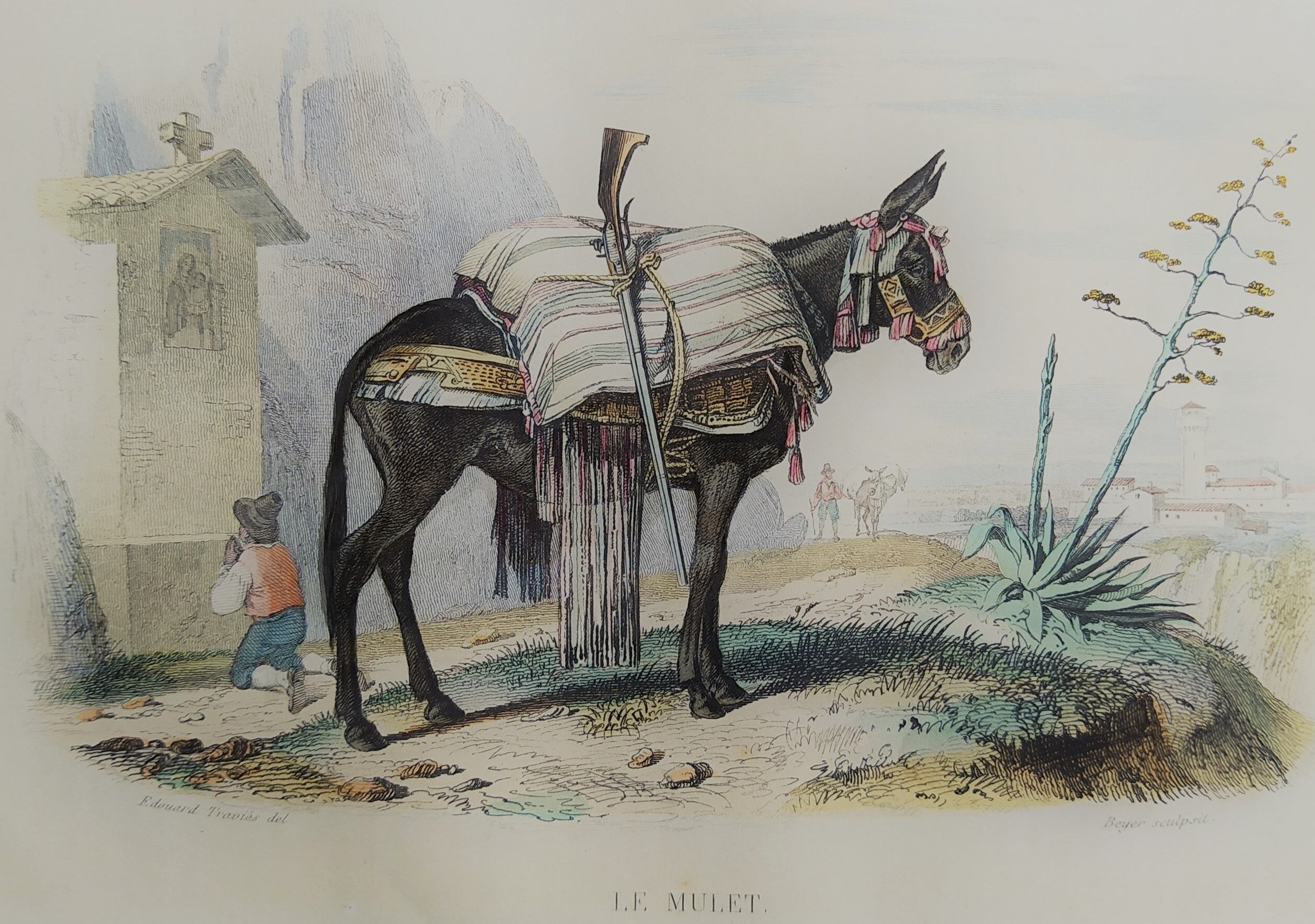 Original zoological illustration "mule" - Buffon 1840