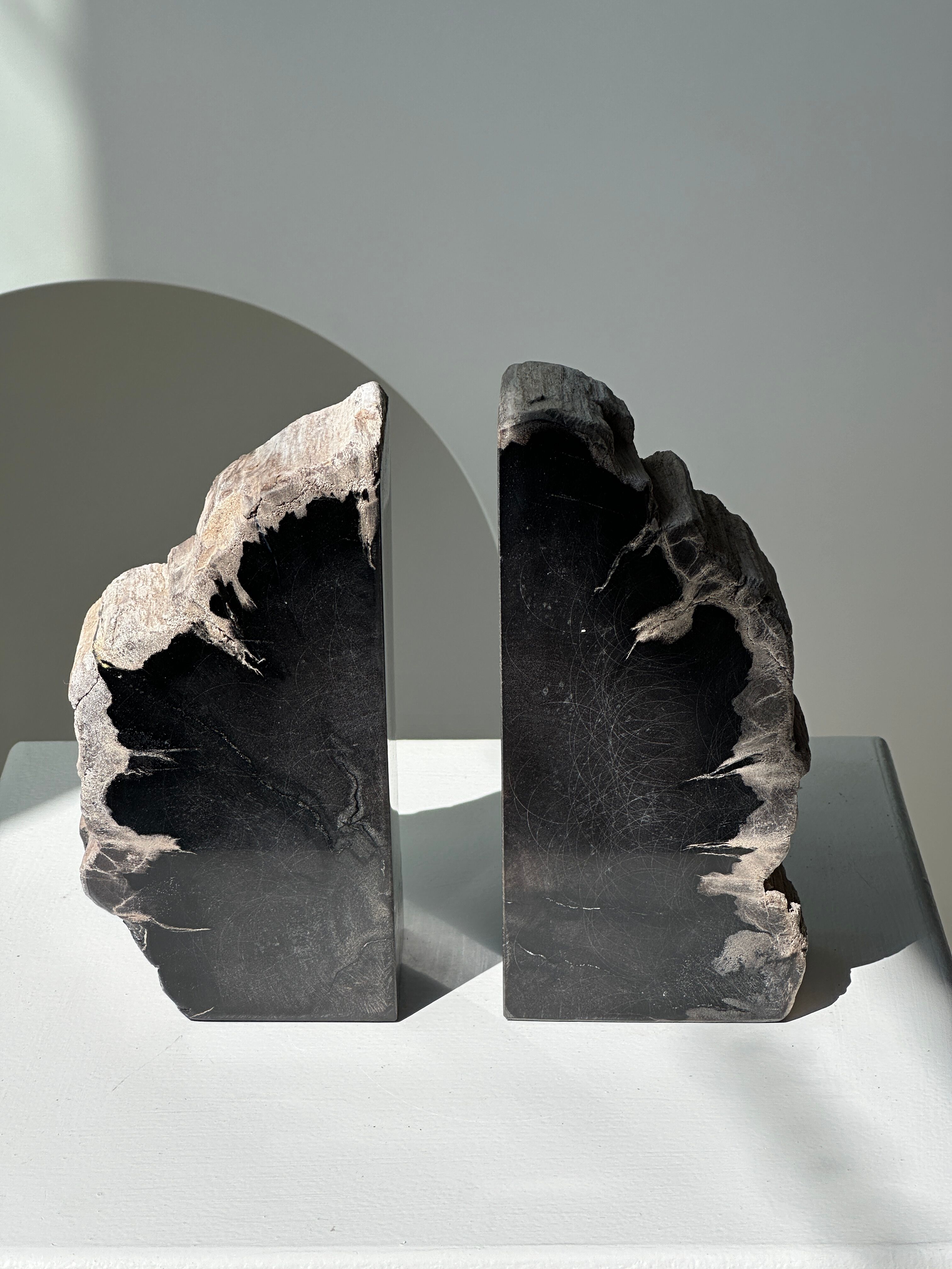 Black petrified wood bookend H17 L17 P6