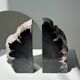 Black petrified wood bookend H17 L17 P6