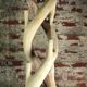 Brutalist coat rack carved in Suar WOOD HT 193 cm