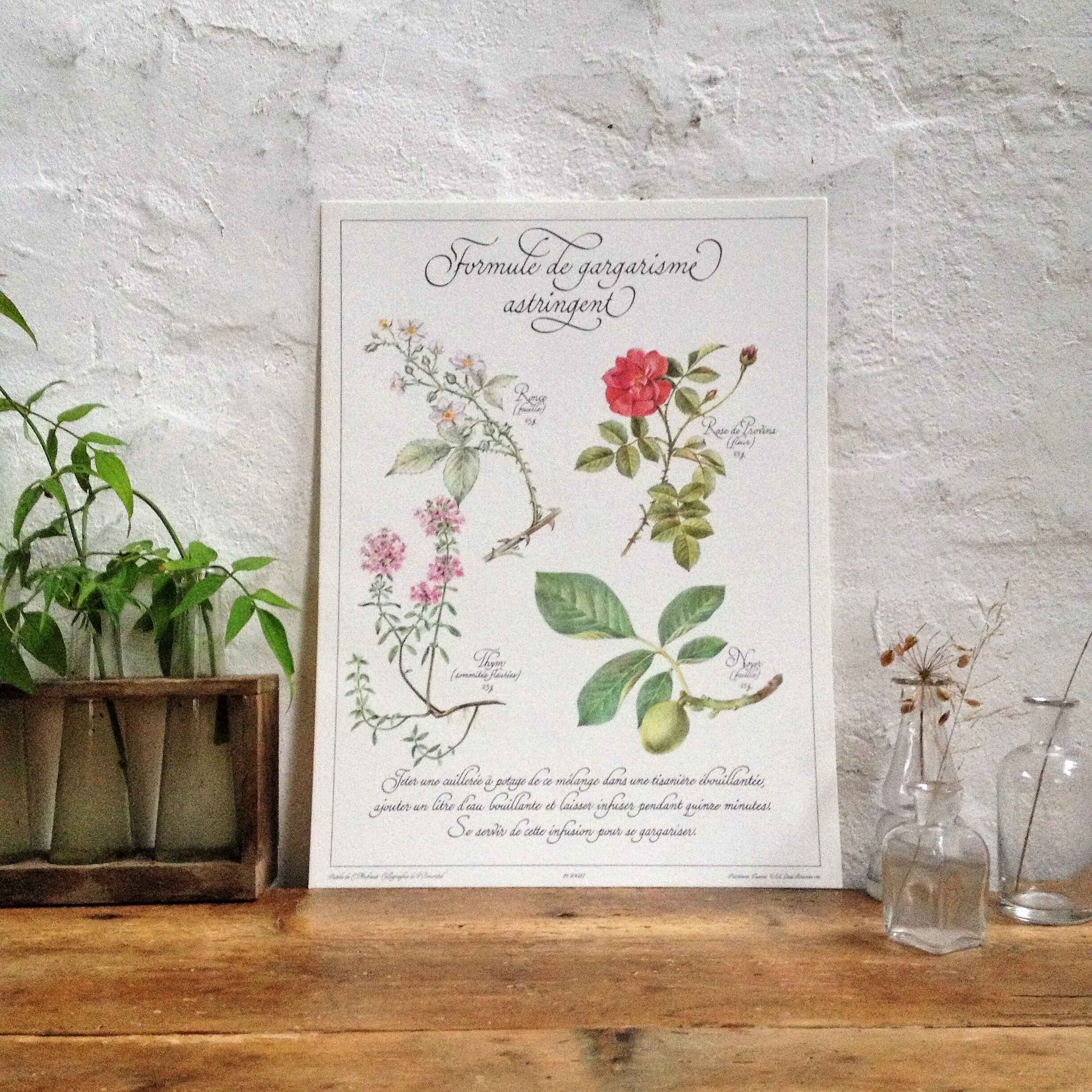 Botanical poster is a tisane