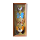 Papillons naturalisés