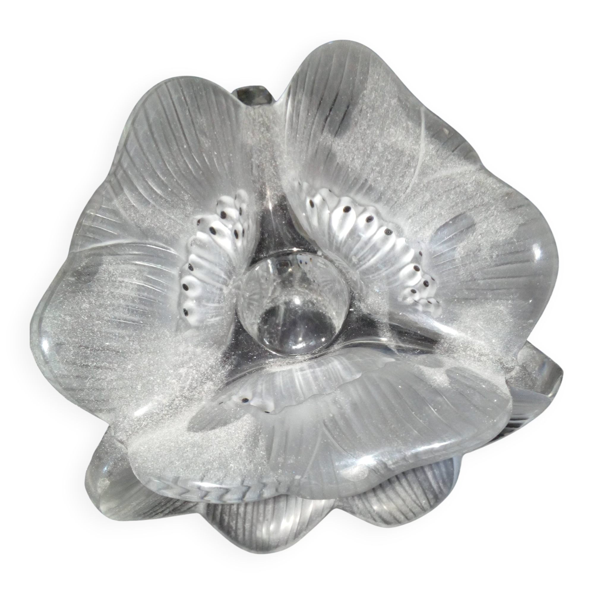 "anemone" candlestick Lalique France