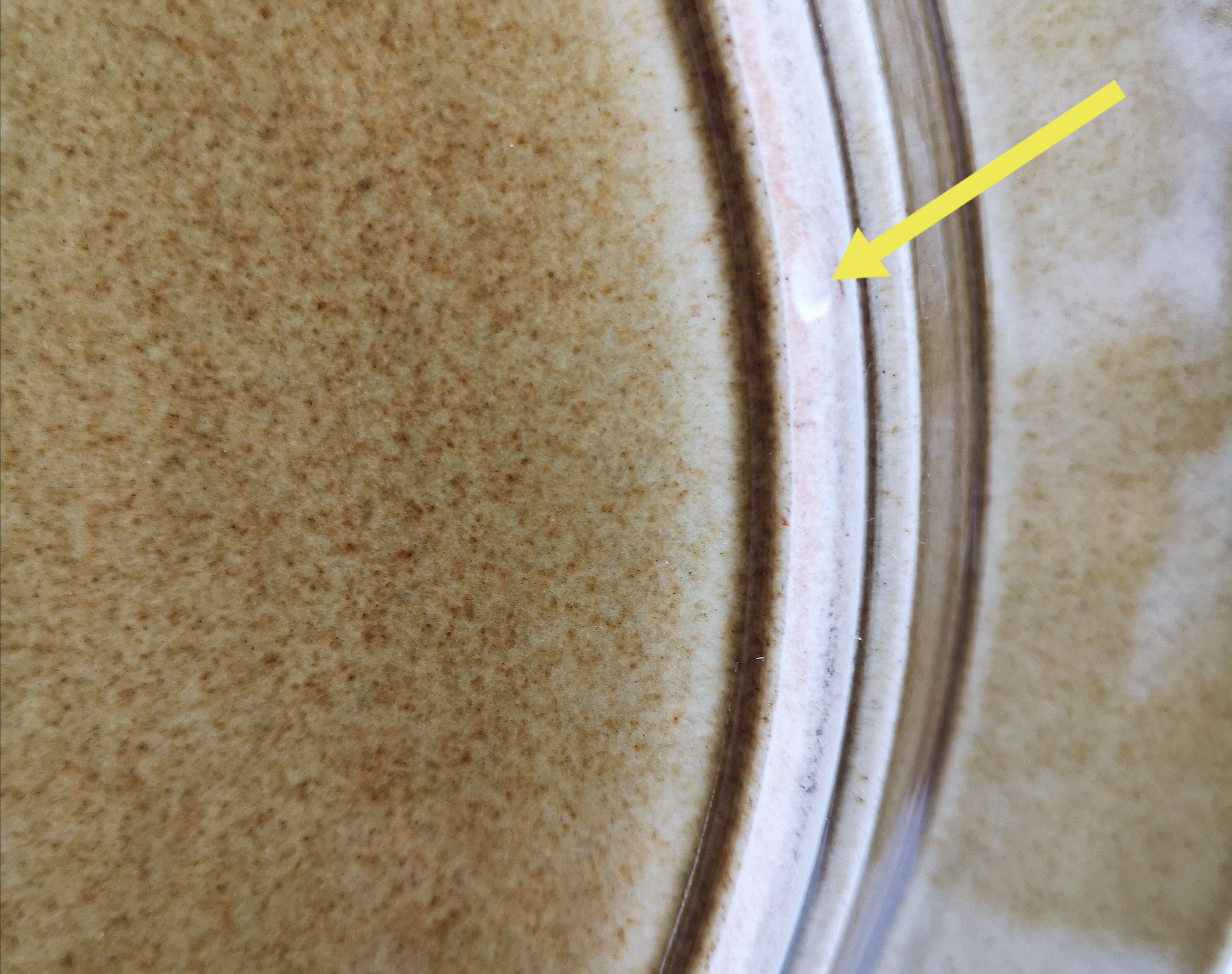 Dish design Ulla Procopé model Kosmos