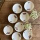 Set of 8 vintage porcelain ramekins