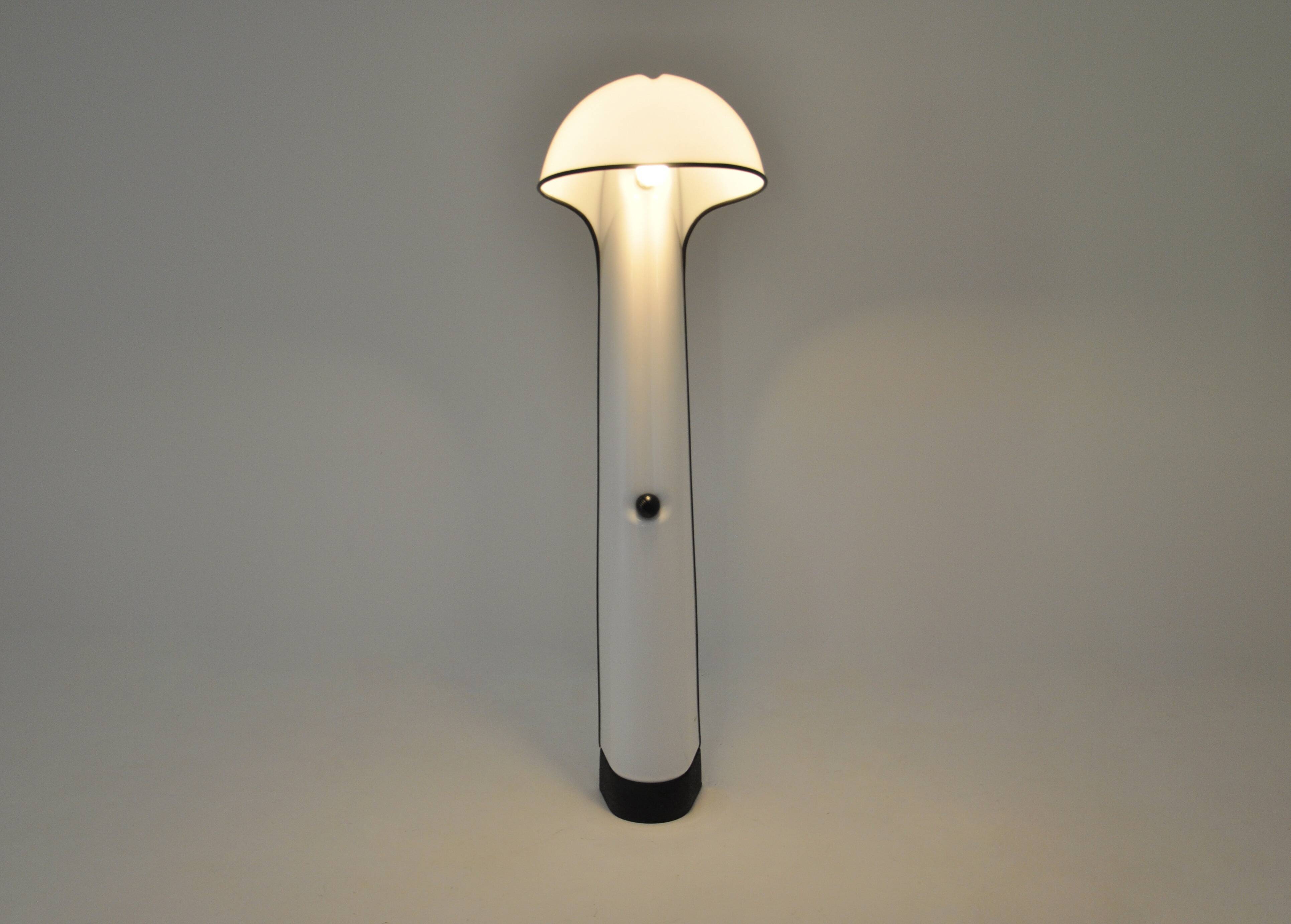 Alba floor lamp by Sergio Brazzoli & Ermanno Lampa for Harvey Guzzini, 19