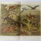 Gravure ancienne - Animaux d'Amérique du sud - Chromo-Lithographie de 1909