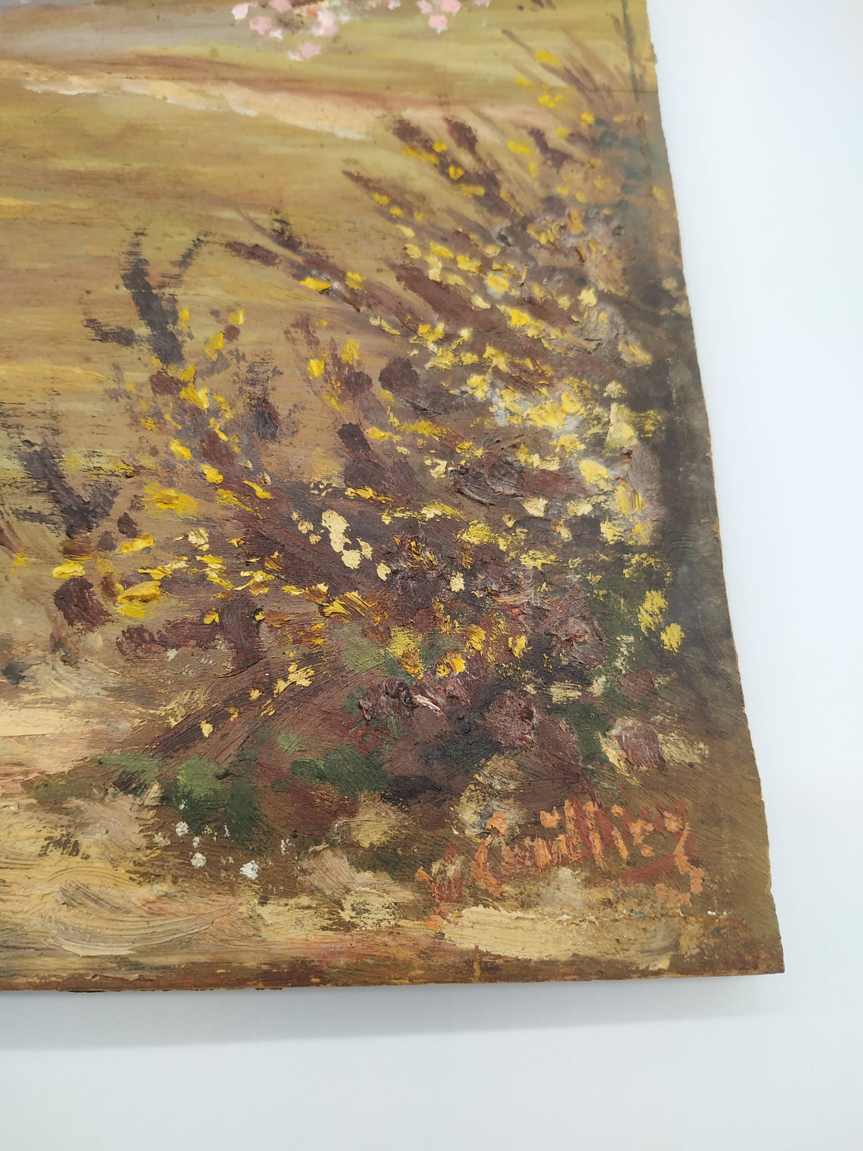 Apple trees in blossom oil on panel