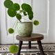 Tabouret tripode vintage en bois