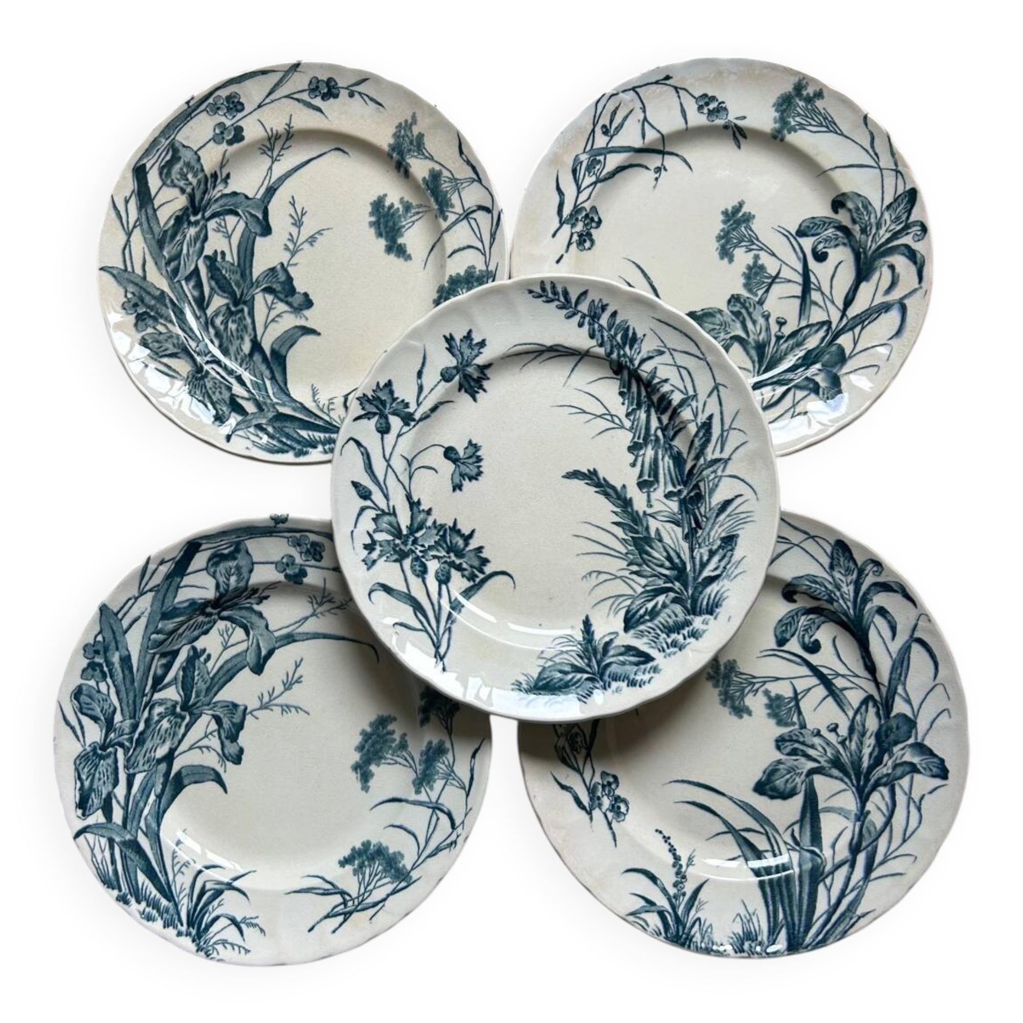 Set of 5 dessert plates Terre de fer Jules Vieillard