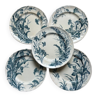 Set of 5 dessert plates Terre de fer Jules Vieillard