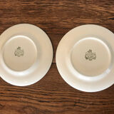 Lot 2 assiettes Pagnossin