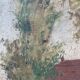 Painting of a countryside landscape in oil on canvas.