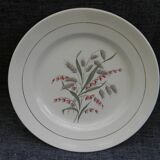 Lot de 6 assiettes plates en faïence de saint amand. modèle beauce.