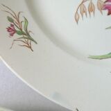 Set of 6 plates Blueberry decor Luneville France, 1900