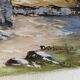 Huile sur toile mas provençal signé Danucho peintre varois