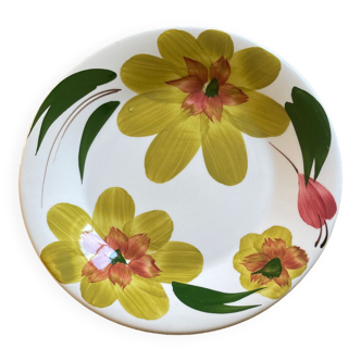 6 Ceramica San Marciano dessert plates