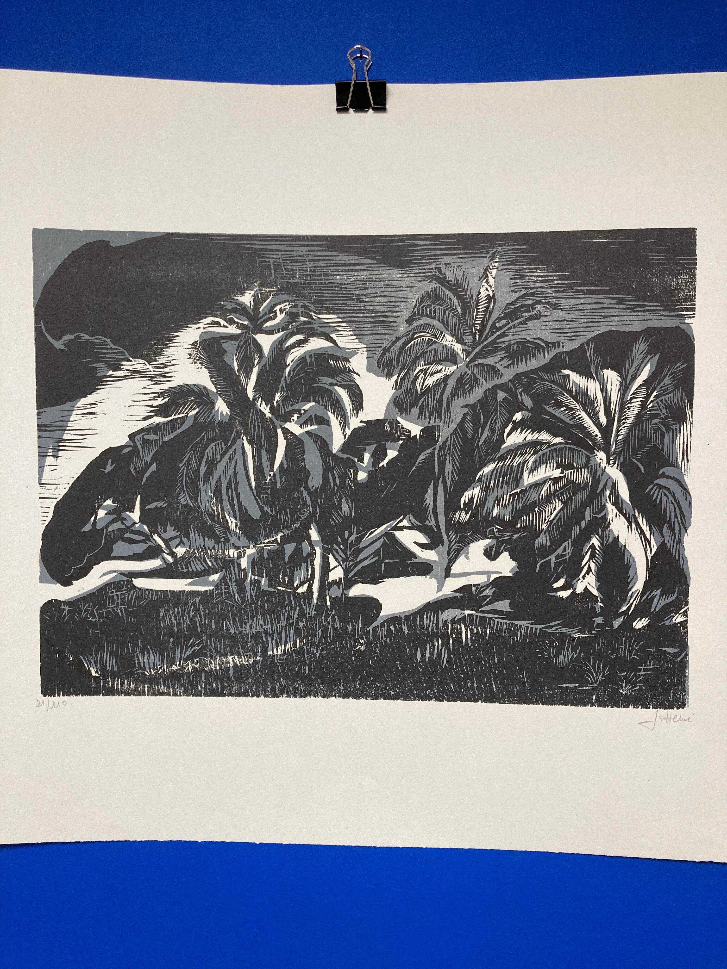 Illustration Le Bois des Cocotiers